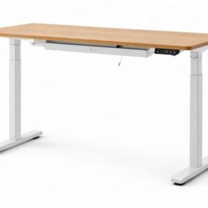 Electric Adjustable Standing Desk
